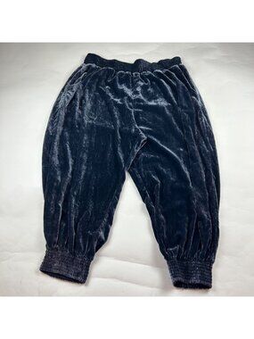 Anthropologie Blue Crushed Velvet Gloria Pull On Gypsy Pant 2X